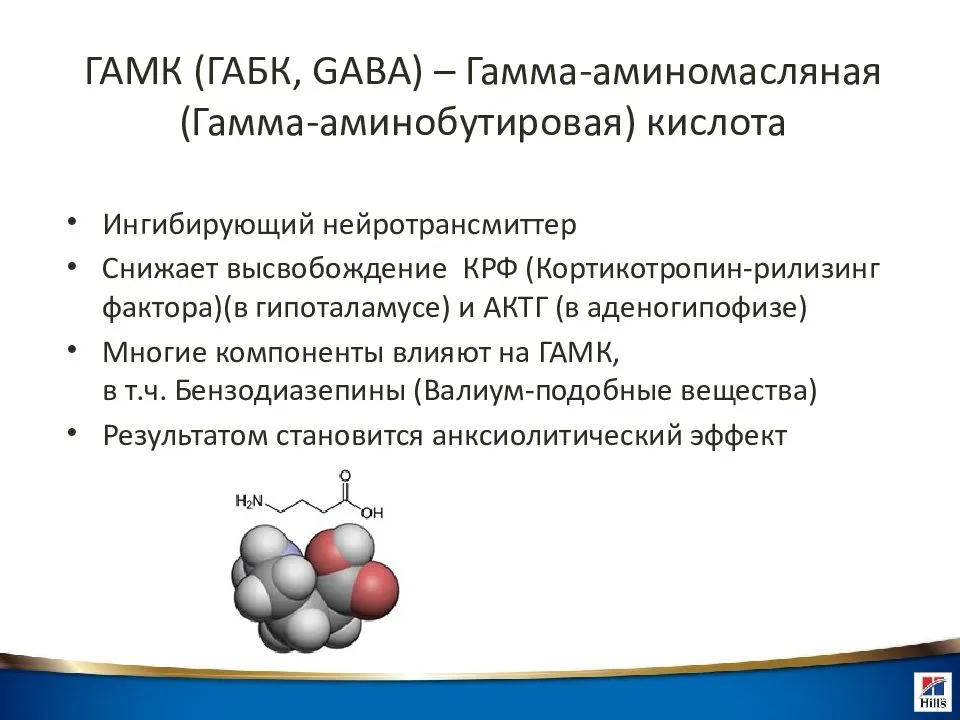 Гамк (гамма-аминомасляная кислота, gaba): что это такое, показания и противопоказания, список препаратов, отзывы врачей