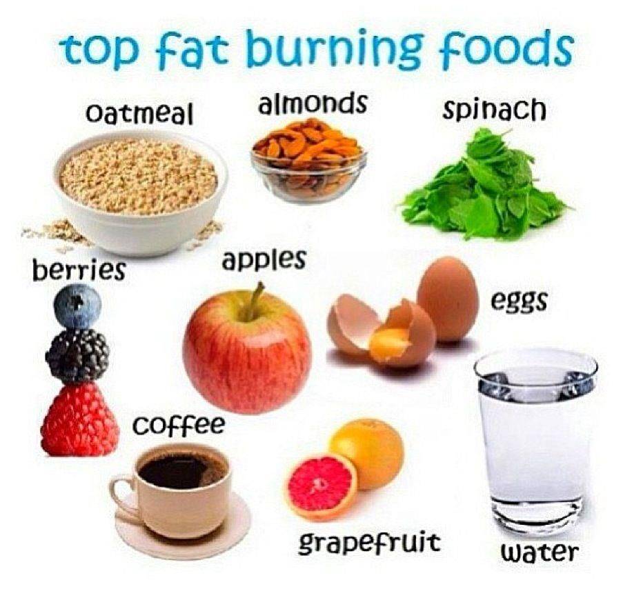 36 продуктов, сжигающих жиры на животе для быстрого похудения
