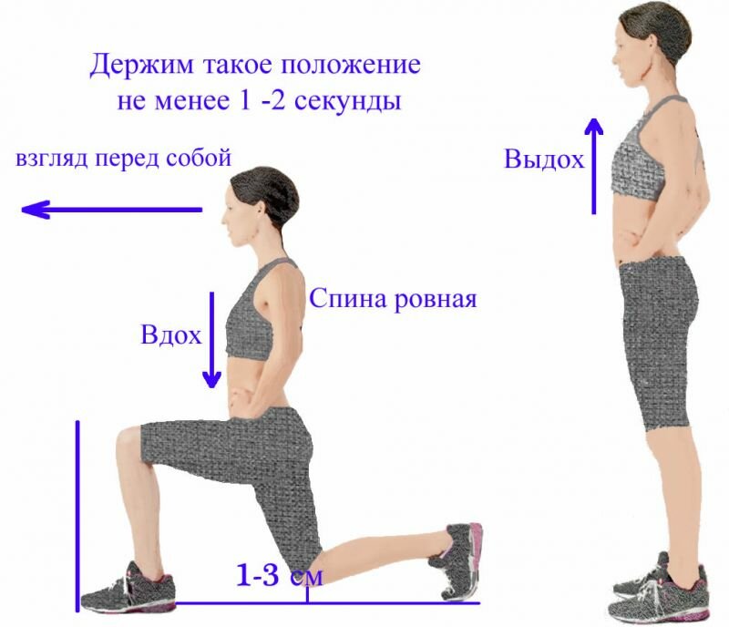 Выпады назад: техника выполнения для каждой ноги, какие мышцы работают