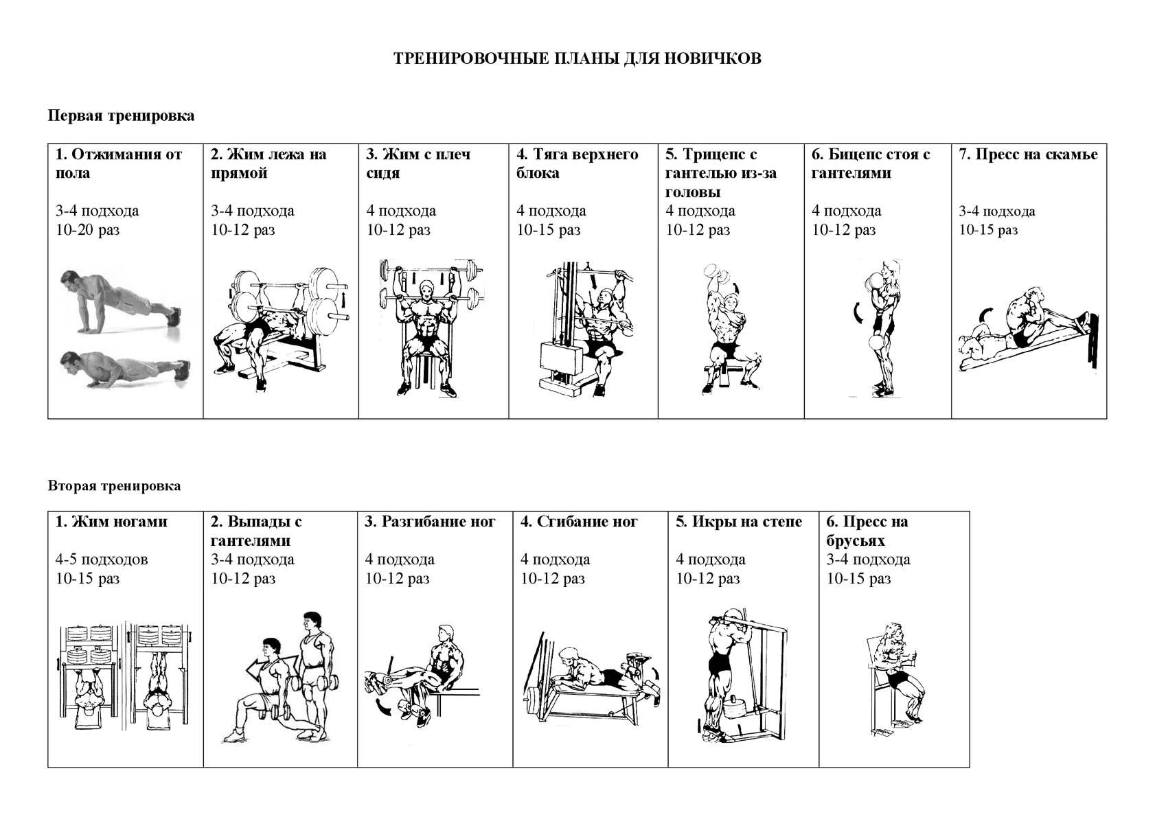 Программа тренировок в тренажерном зале для девушек: упражнения на 2 или 3 дня в неделю