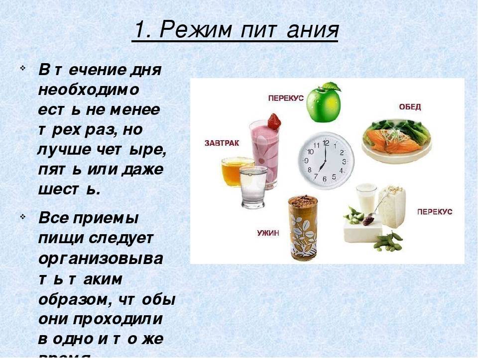 Время приема пищи при правильном питании. режим питания для похудения по часам