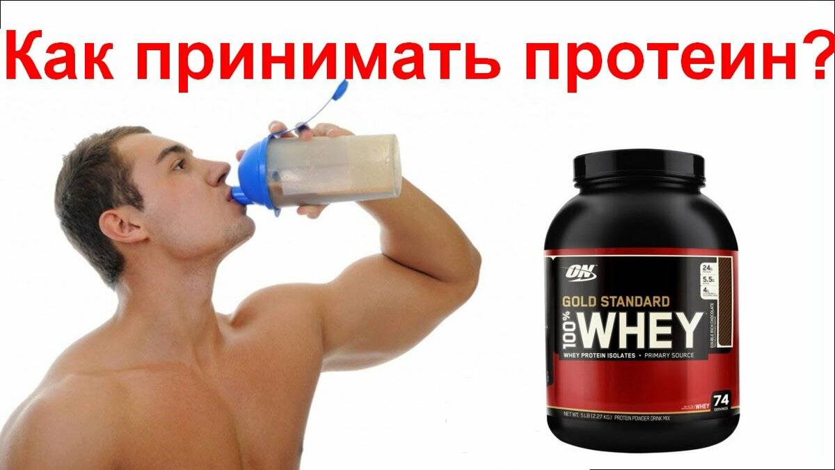 Протеин без тренировок: можно ли пить, и что будет, если принимать добавку без нагрузок