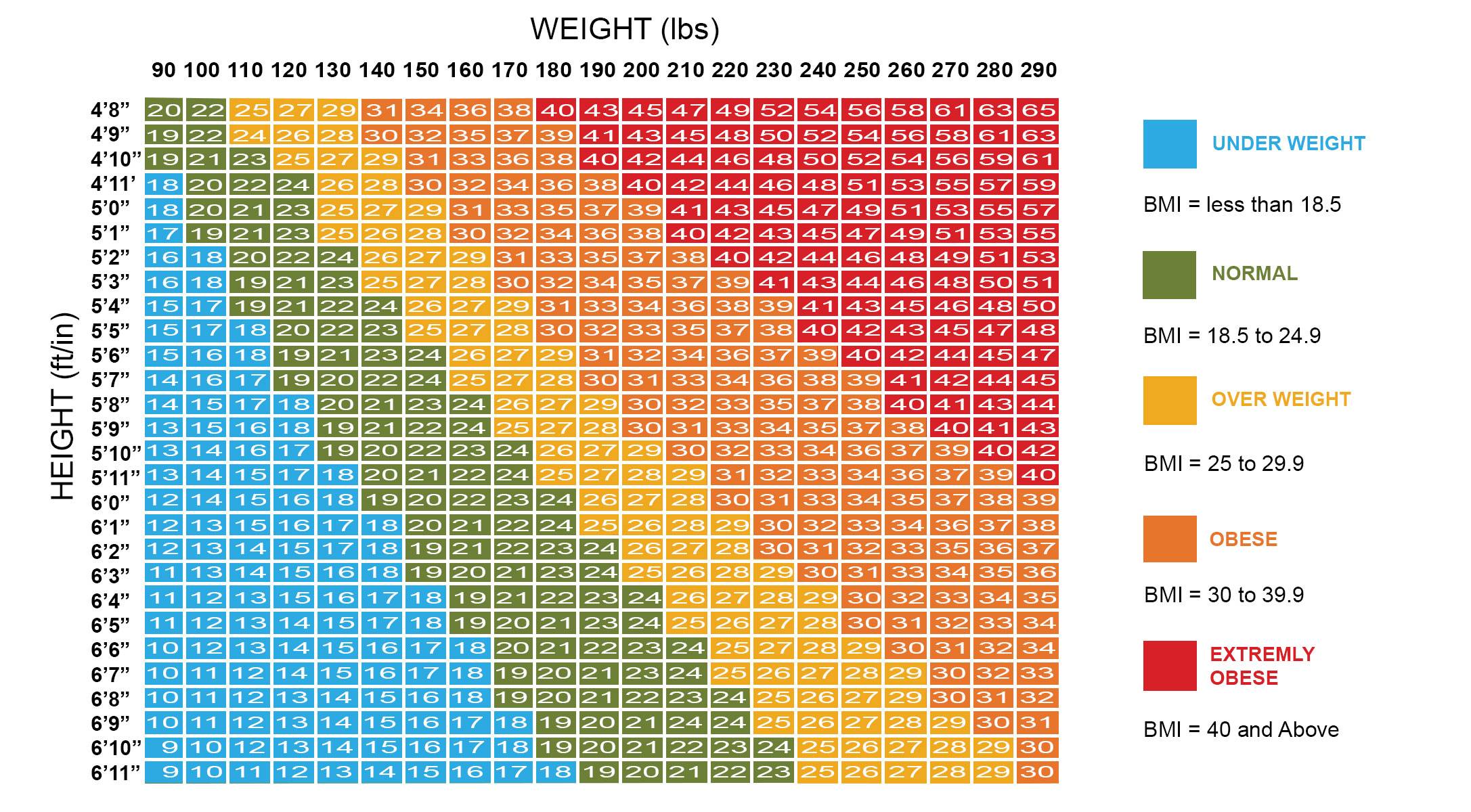 Онлайн-калькулятор нормы калорий в день, имт и идеального веса