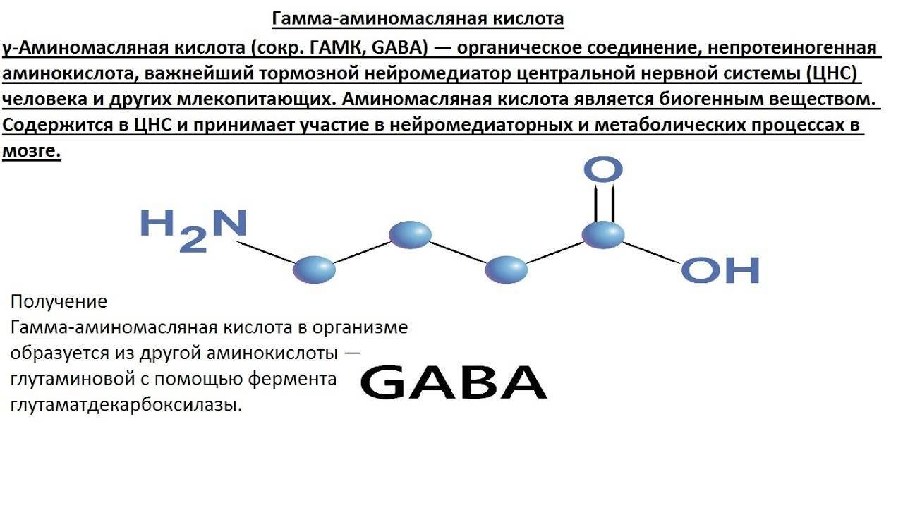 Габа или гамк (гамма-аминомасляная кислота): применение в спортивном питании, где содержится и как принимать добавку