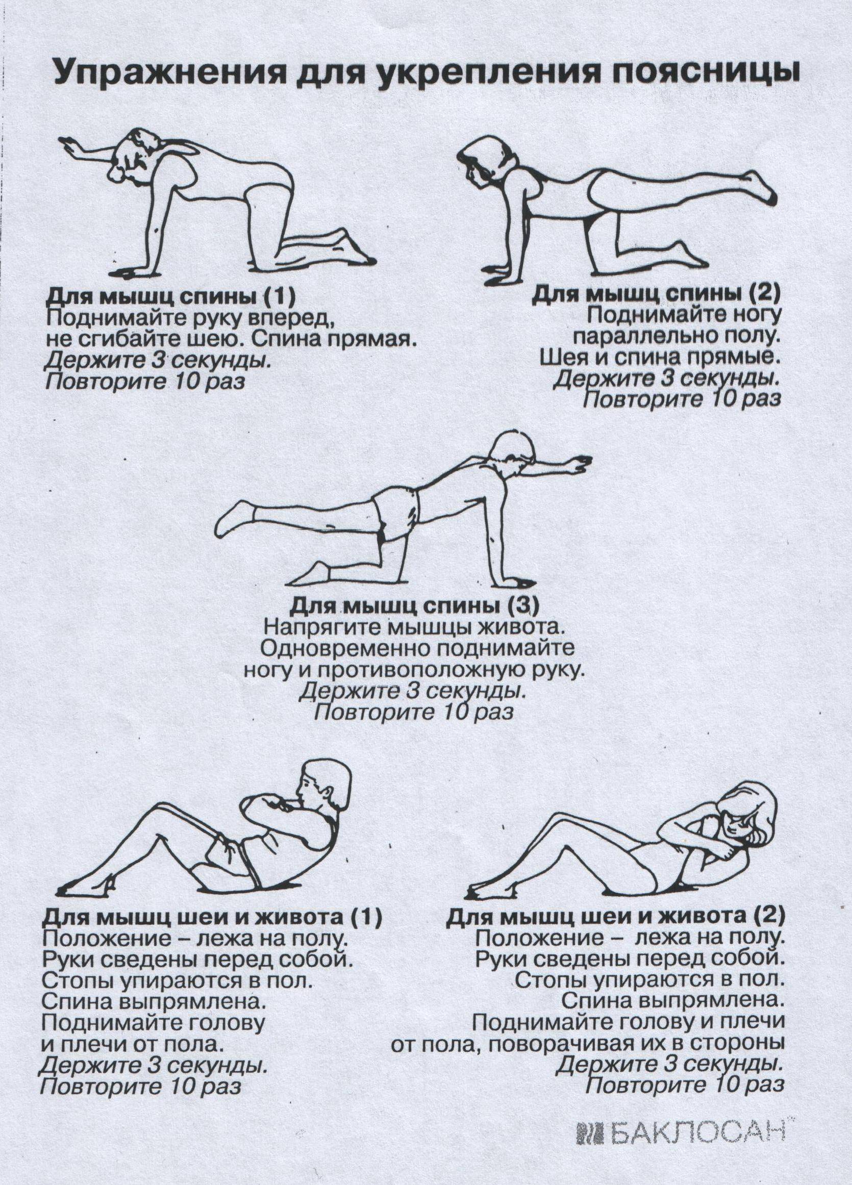 Укрепление мышц спины: 15 упражнений для гимнастики дома и тренажерном зале