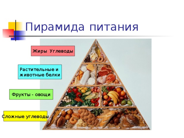 Урок 2. состав пищи. белки, жиры, углеводы и другие компоненты