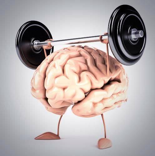 Зачем нужна ментальная связь мозг-мышцы? вся правда!