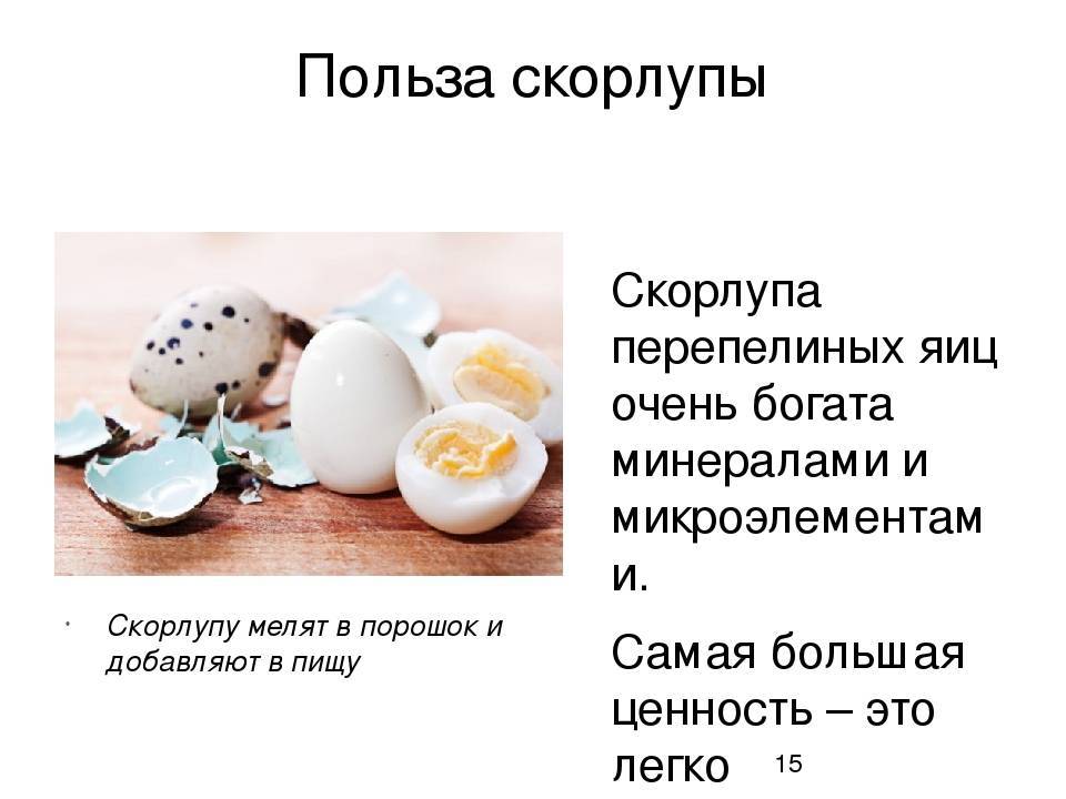 Перепелиные яйца: польза и вред для мужчин, женщин, детей и пожилых. сколько и как принимать?