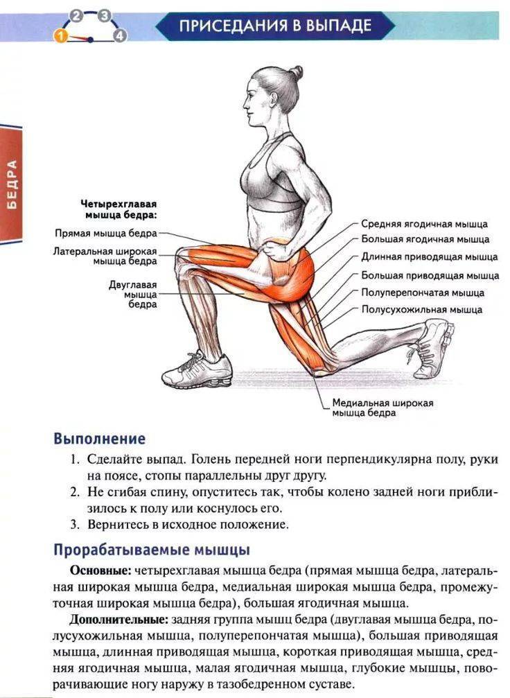 Болгарские выпады назад: сплит приседания с гантелями, в смите, со штангой, с шагом -  техника выполнения, какие мышцы работают, как делать