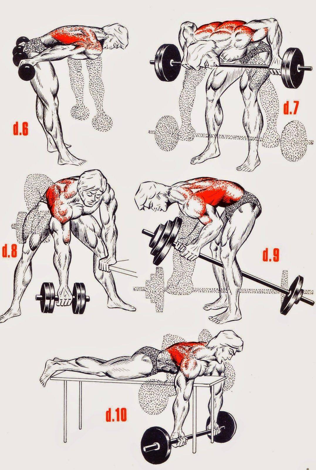 Упражнения для спины в тренажерном зале: топ-15 самых лучших
