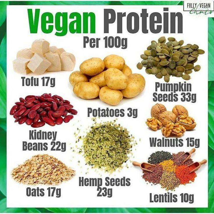 Где взять белок вегетарианцам и веганам, чем заменить животный?