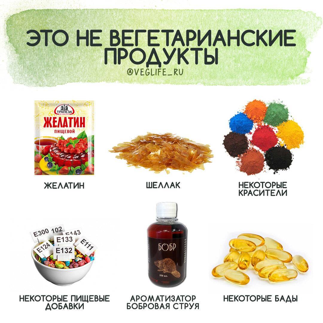 Белковая диета для вегетарианцев для похудения - allslim.ru