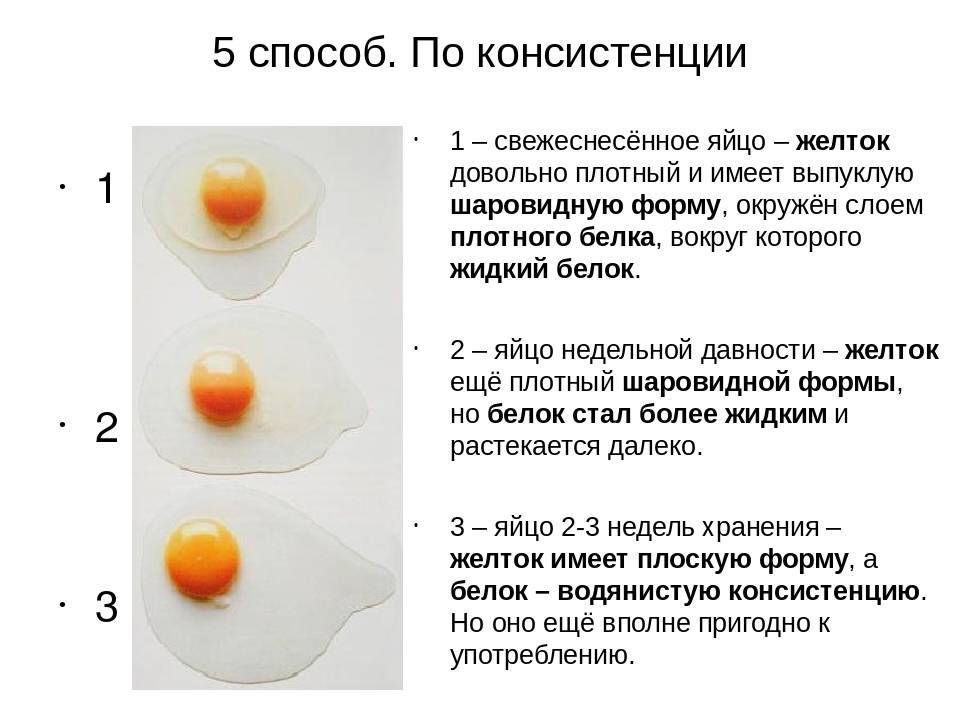 Куриное яйцо: что полезнее, белок или желток?