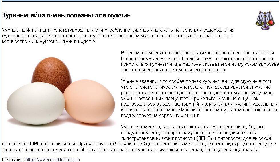 Почему нужно есть яйца целиком с желтком или без, утром или вечером |