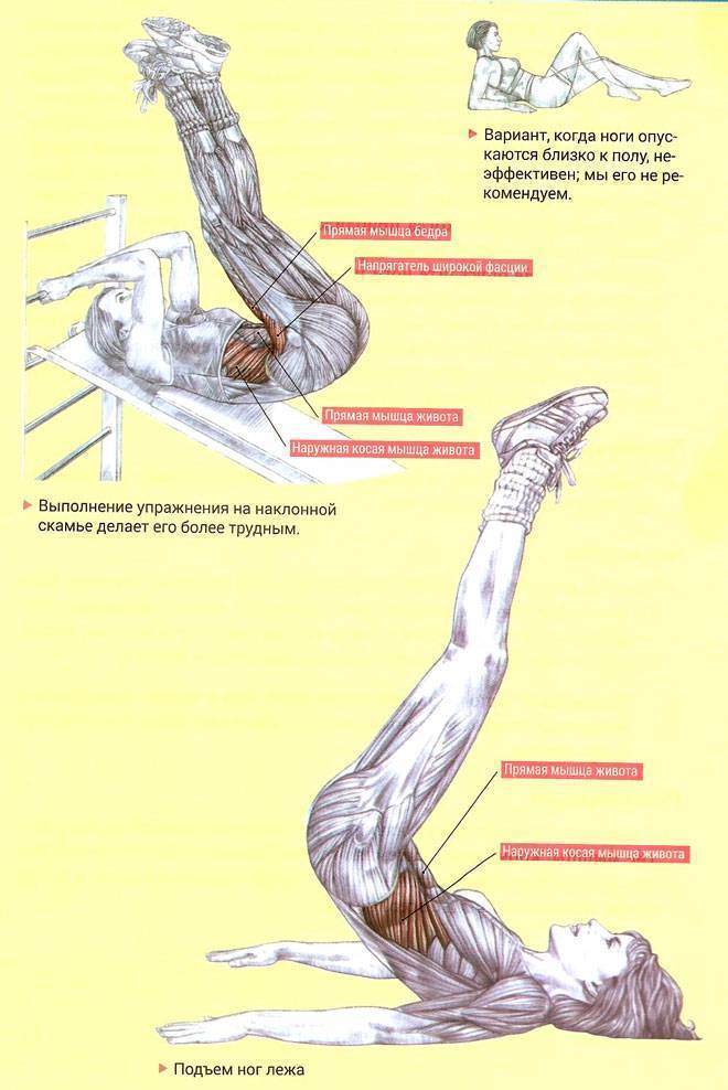 Подъем ног лежа на боку: техника выполнения, какие мышцы работают