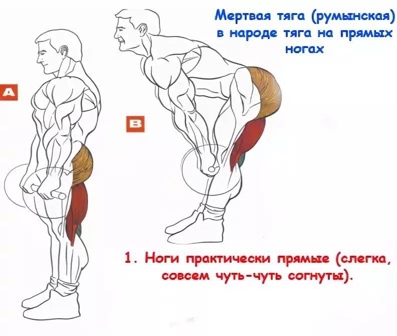 Румынская тяга: техника выполнения со штангой, с гантелями, в смите и с гирей