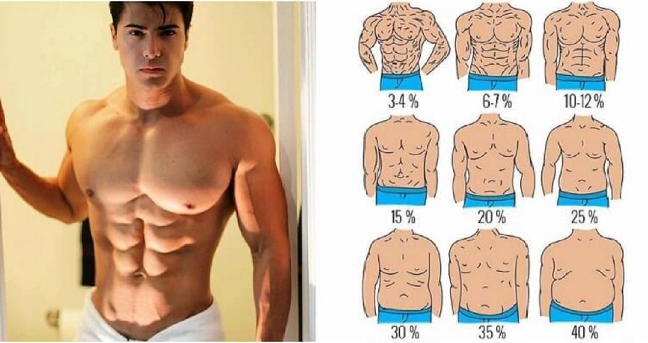 5 этап мужчины. Низкий уровень подкожного жира. Мужское тело процент жира. Разные типы пресса. 20 Подкожного жира.