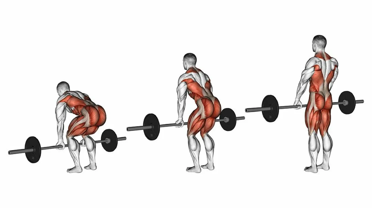 Становая тяга сумо ☛ какие мышцы задействует, чем отличается от классической