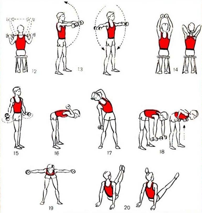 Упражнения для женщин с гантелями - самые эффективные занятия и программы тренировок