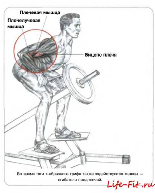 Тяга гантели к поясу в наклоне: базовое упражнение для роста широкой спины