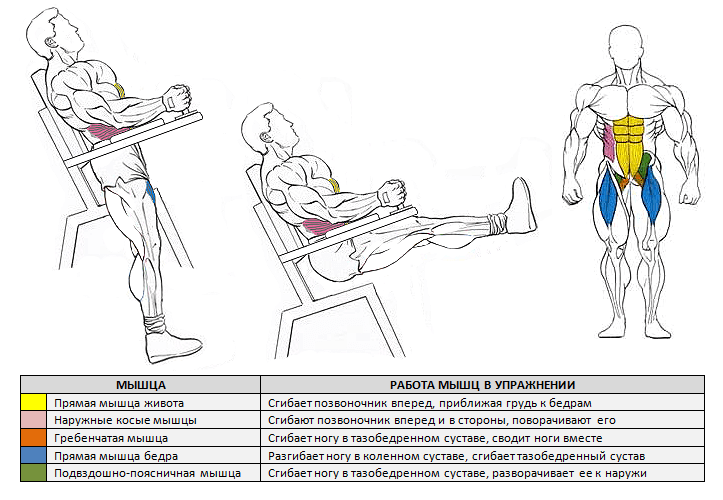 Ягодичный мостик: техника выполнения, какие мышцы работают, а также как правильно делать подъем таза (попы) со штангой, в смите, с блином