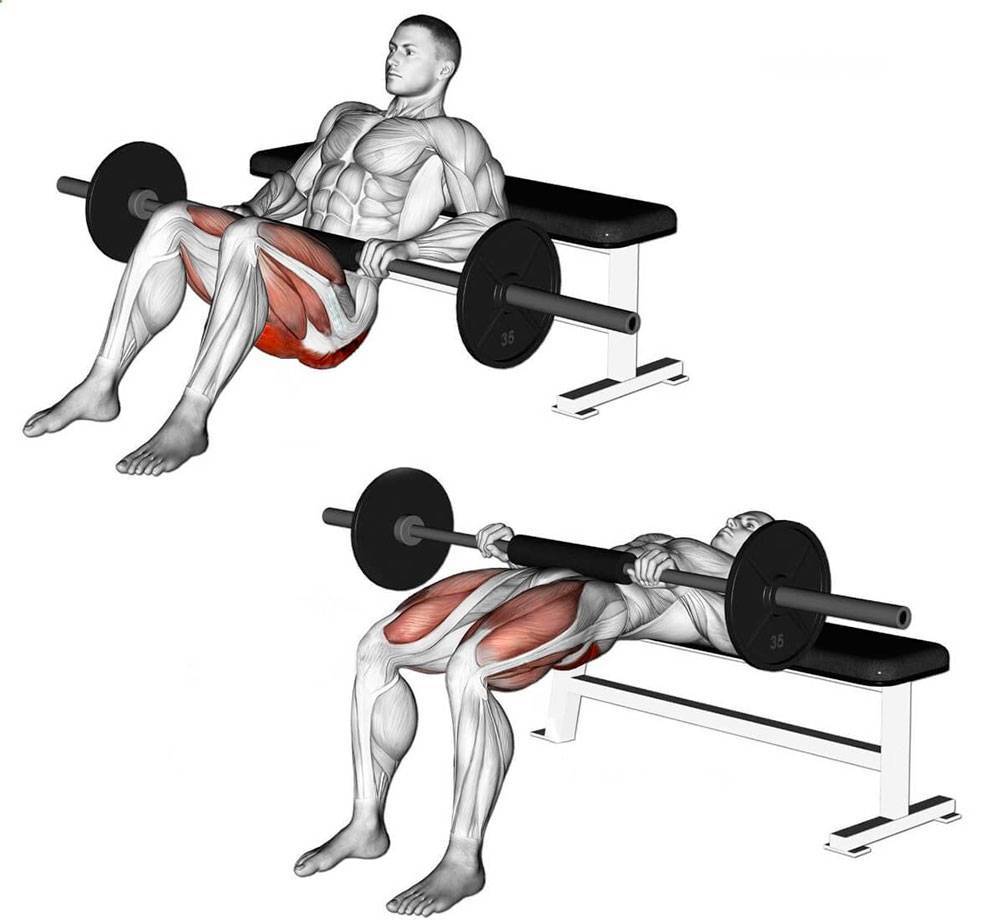 Становая тяга: как правильно делать упражнение, какие мышцы задействованы, техника классической тяги