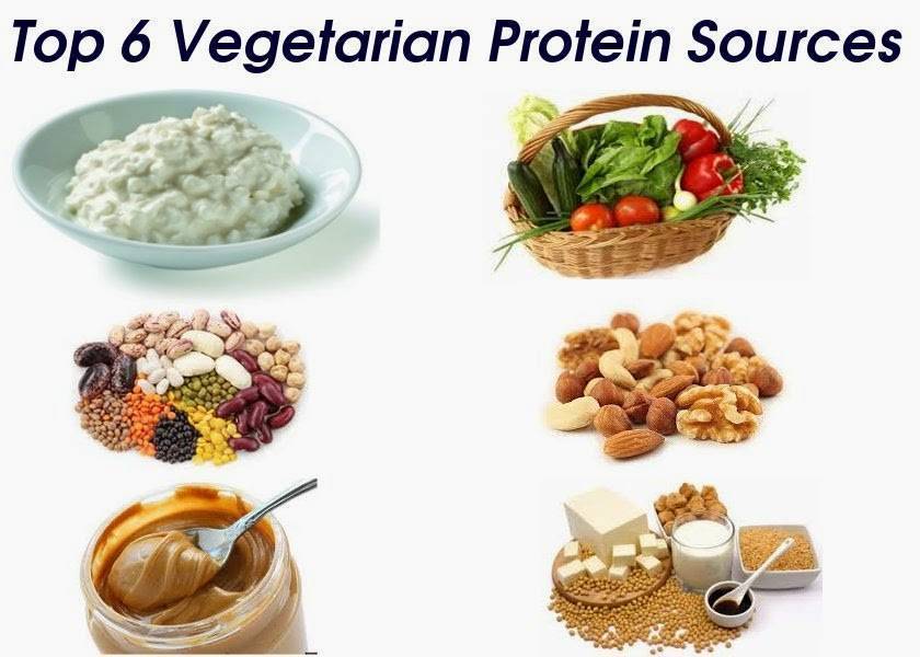 Белки для вегетарианцев. растительный белок: список продуктов : labuda.blog
