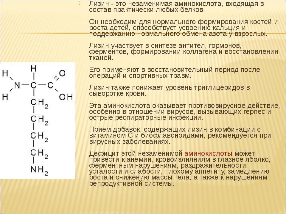 Аминокислоты: свойства и польза