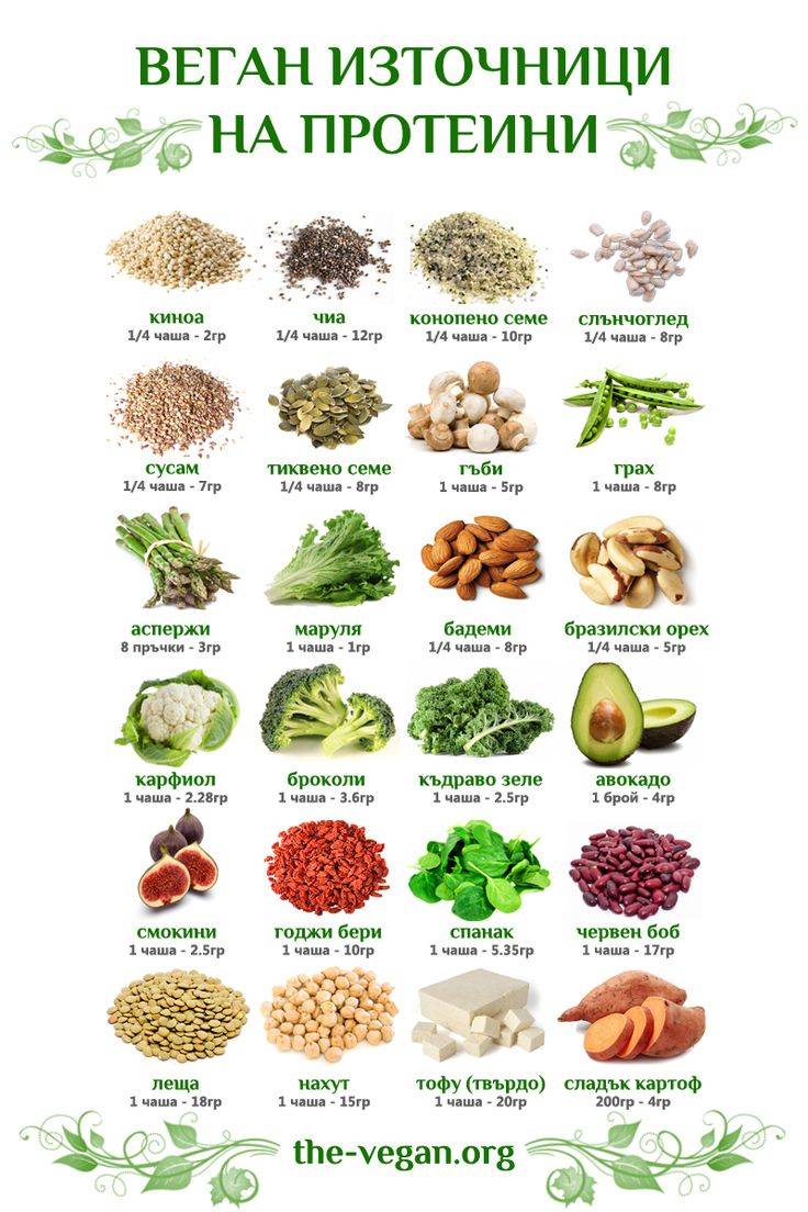 Топ 10 богатых белками продуктов питания для вегетарианцев