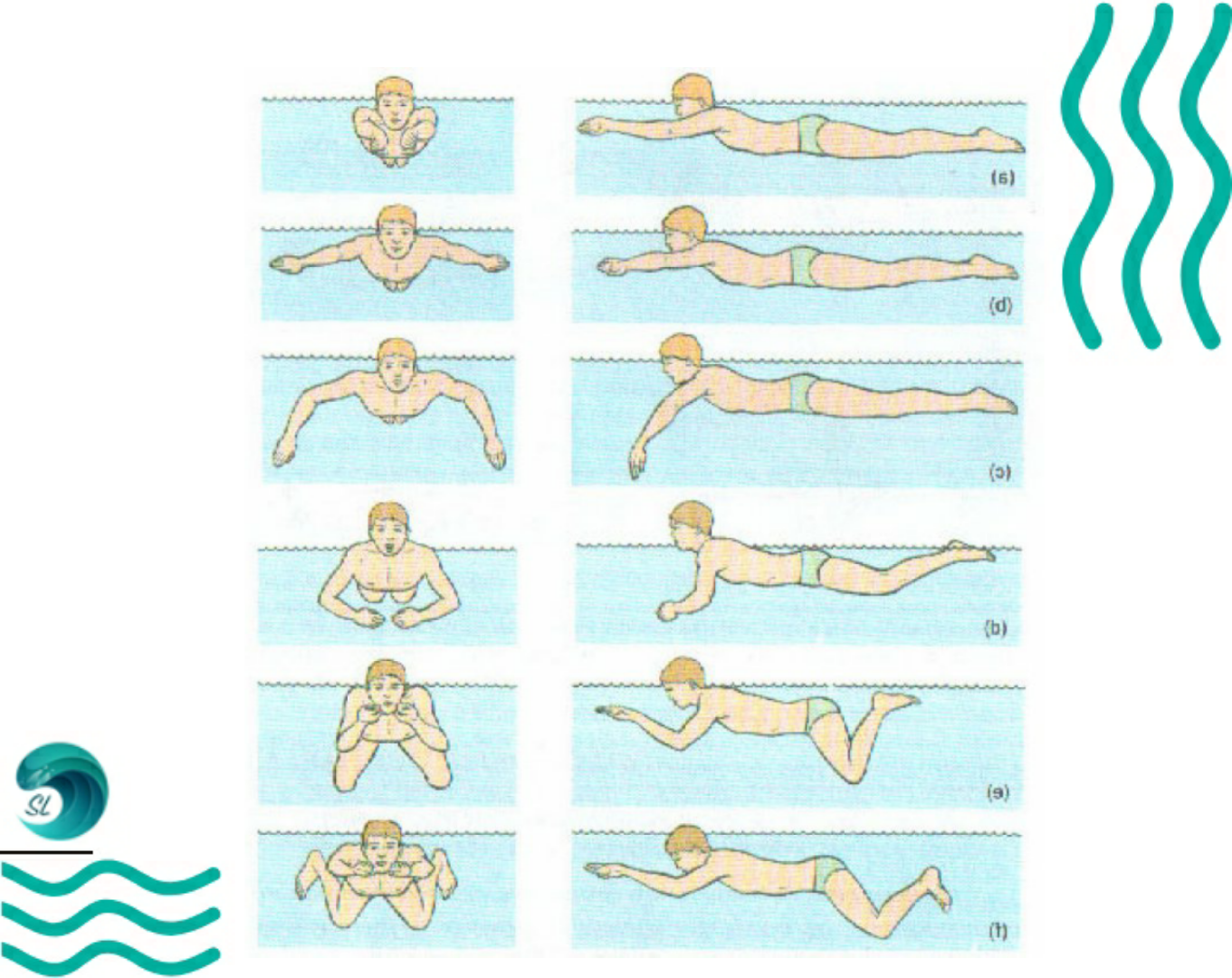 Как научиться быстро и правильно плавать брассом: первые шаги, техника в бассейне, как дышать