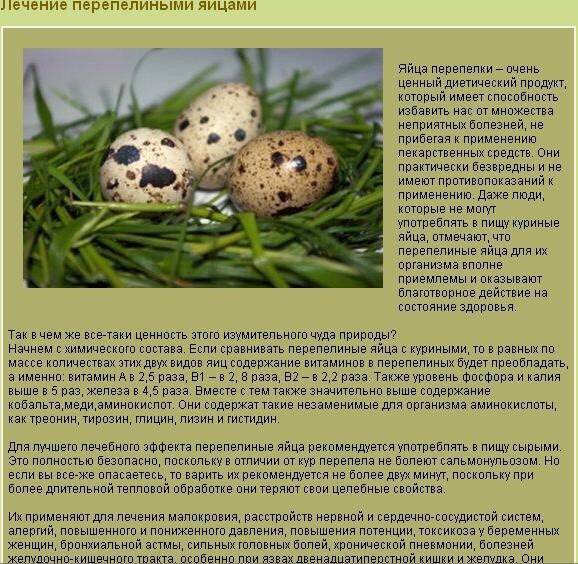 Перепелиные яйца: полезные свойства, польза при употреблении натощак, вред для организма человека