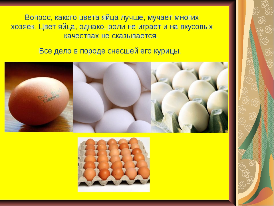Оранжевые яичные желтки: список продуктов для кур