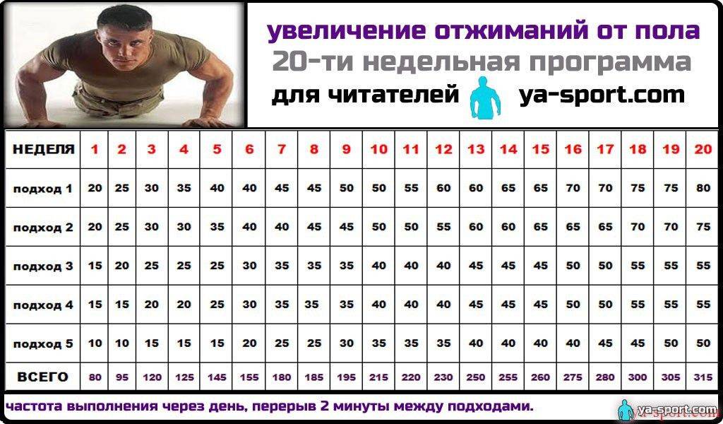 Сплит тренировка: двухдневная, трехдневная и четырехдневная программа на массу для мужчин и девушек