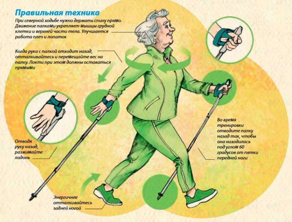 Скандинавская ходьба для похудения и здоровья: важные нюансы тренировок