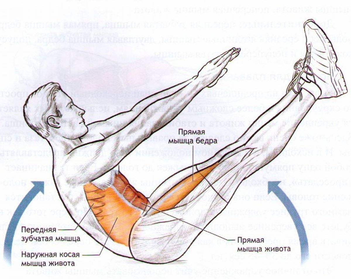 Описание упражнения "подъём ног в висе": техника, варианты, группы задействованных мышц, интерсеные факты