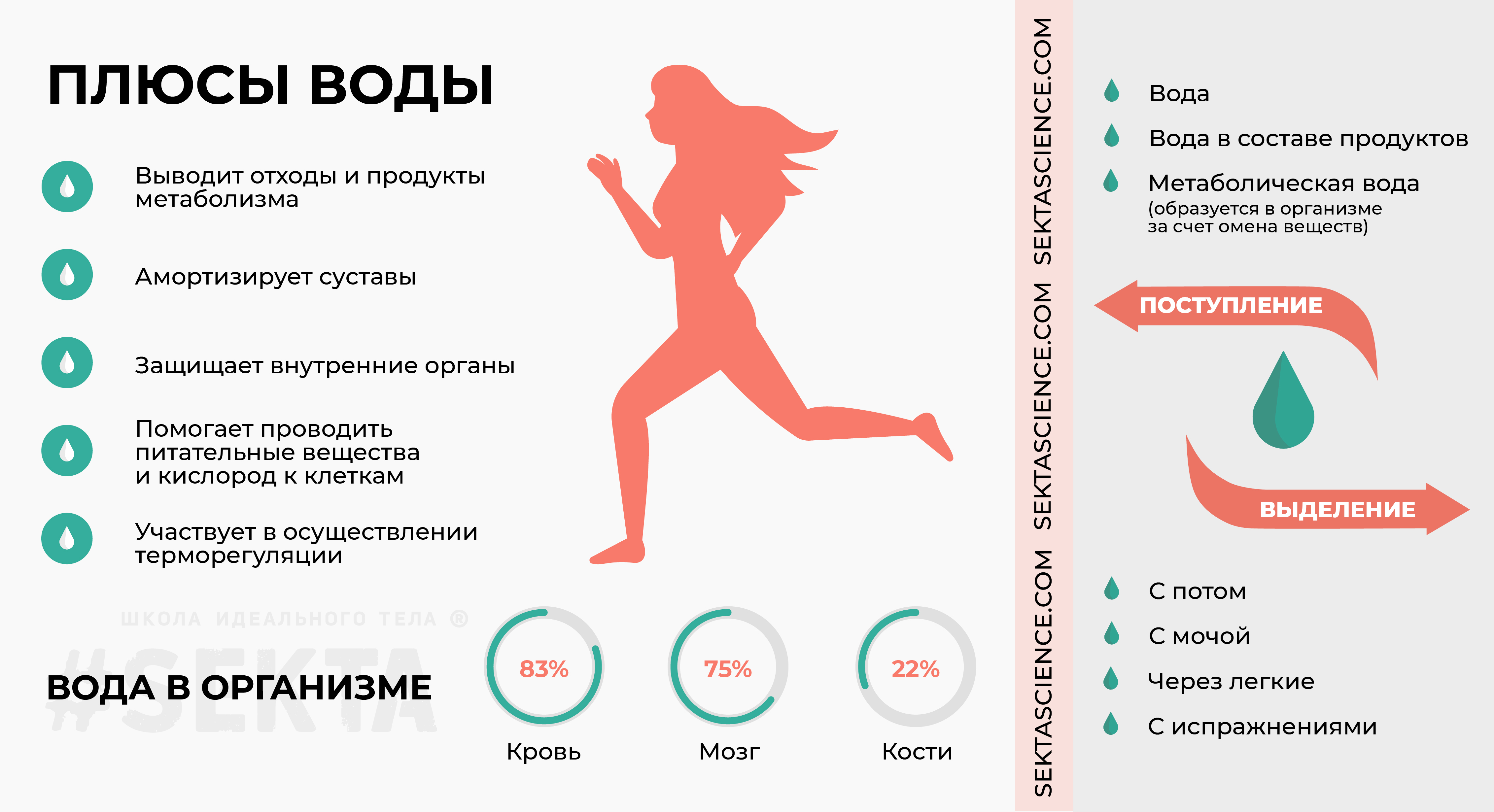 Вода после тренировок: можно ли пить или нет? | rulebody.ru — правила тела