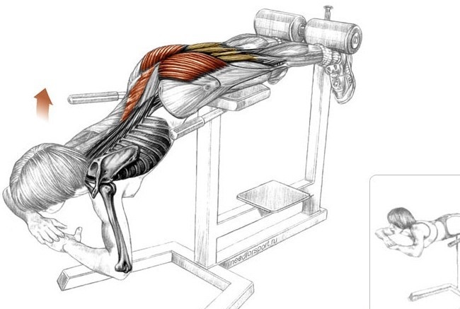 Гиперэкстензия: что это такое и какие мышцы работают в упражнении
гиперэкстензия: что это такое и какие мышцы работают в упражнении