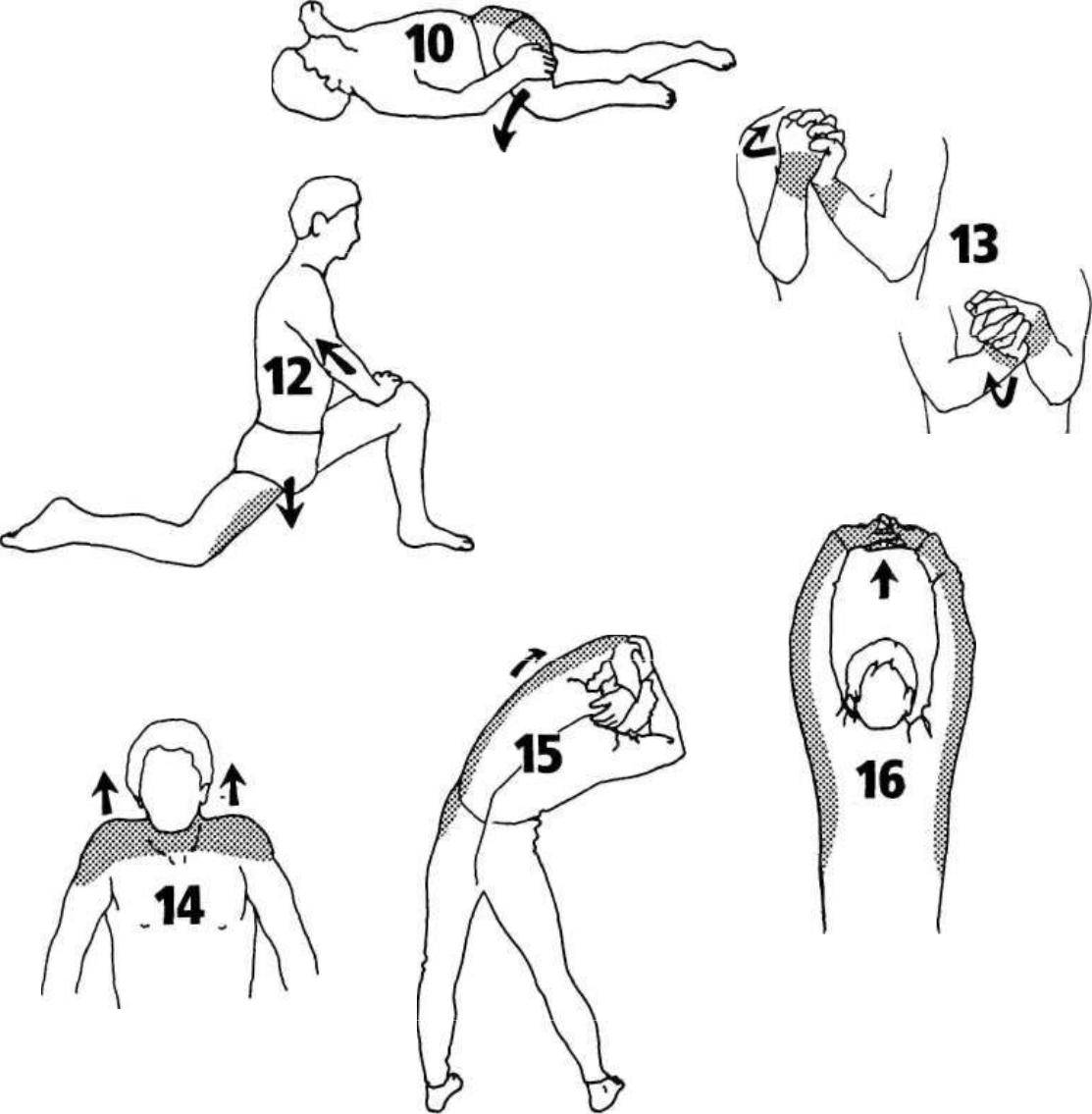 Как разогреть мышцы перед растяжкой на шпагат | разминка 7 минут