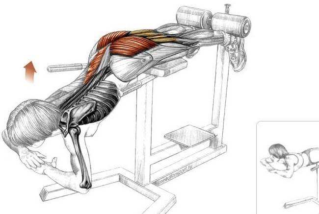 Гиперэкстензия — как делать правильно? в чем польза и что дает упражнение?