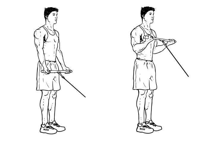 Нижний стоя. Сгибания рук на бицепс на Нижнем блоке стоя. Сгибание рук в кроссовере с прямой рукоятью. Сгибание рук с Нижнего блока на бицепс. Сгибание рук на бицепс в кроссовере.